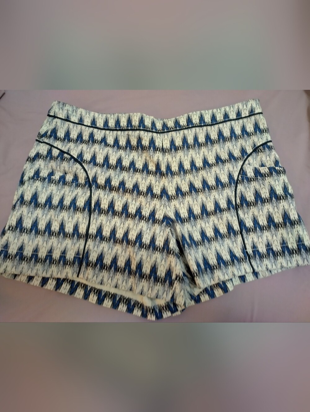 Anthropologie Cartonnier Shorts Sz 12